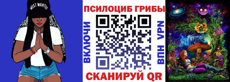 Купить где  Спасск-Дальний  Галлюциногенные грибы мухоморы 